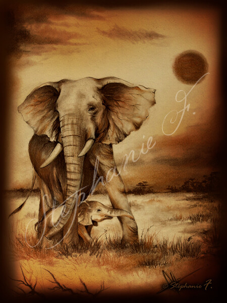 Elephants d'Afrique - 2009